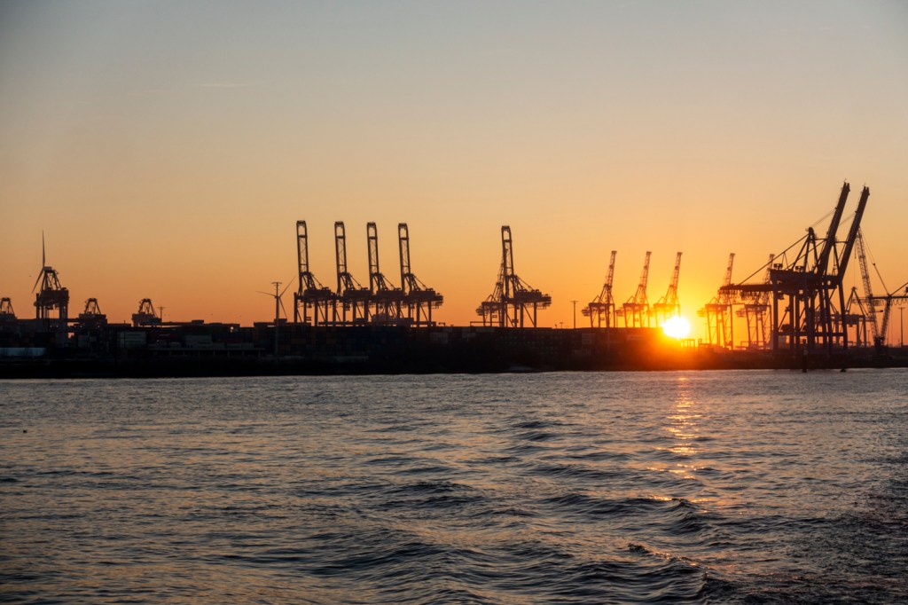 Uusplämperle in Hamburg